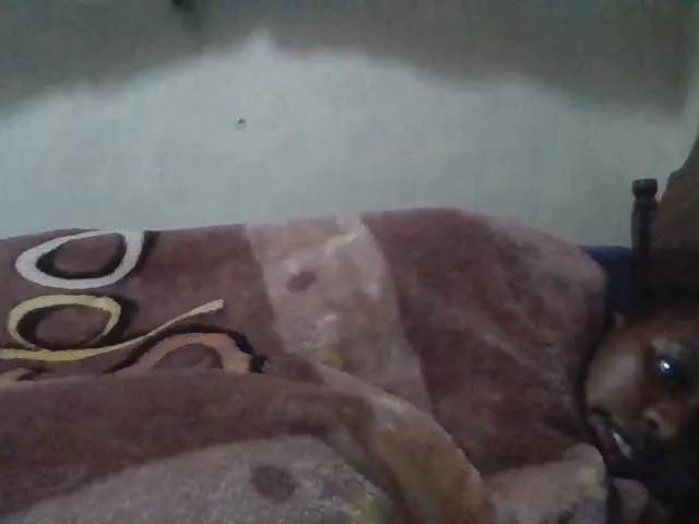luvlyshee on BongaCams 