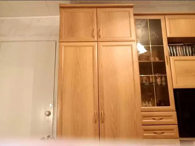 ShelleyLitten on BongaCams