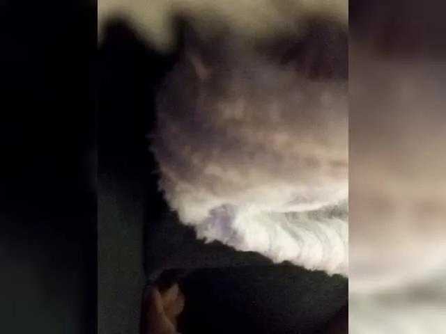 VICKYWALLES — touch me, feel how you are with me and you fuck me hard, dance, I like to be bitten, spank my ass, make me vibrate and always treat me with respect