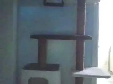 cammyman6900 on Chaturbate 