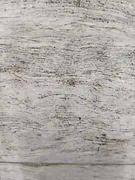 hot_plak — Freechat on StripChat