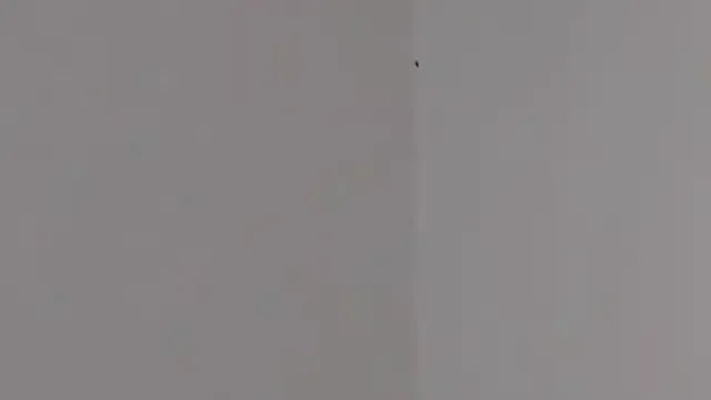 Lilith_pink29 — nude