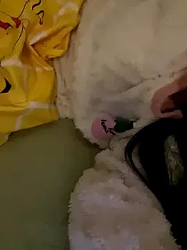 ruiki666 on StripChat