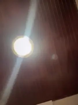 Sofia_Collins- on StripChat