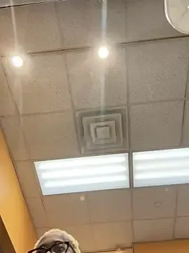 VixenCapri on StripChat