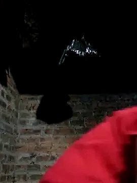 yana-zz — c m ngi gip